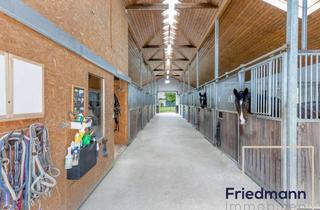 Haus kaufen in 54668 Niederweis, Pferdeparadies im Herzen der Südeifel: Ihr Traum-Reiterhof nahe der luxemburgischen Grenze