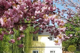 Mehrfamilienhaus kaufen in 12683 Biesdorf, Vielseitiges Mehrfamilienhaus: Renditestark anlegen oder großzügig selbst bewohnen!