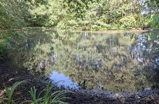 Grundstück zu kaufen in Feldweg, 27243 Dünsen, Naturbelassenen Grundstück mi kleinem See