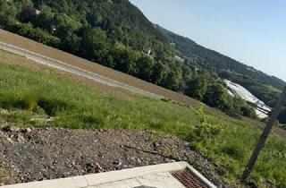 Grundstück zu kaufen in 53940 Hellenthal, Bauerwartungsland in idyllischer grüner Gegend-Wohnen wo andere Urlaub machen!
