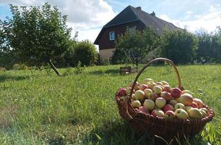 Bauernhaus kaufen in 17217 Penzlin, Penzlin - Bauernhof mit Obstgarten und Garagen
