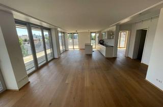 Wohnung mieten in Gabelsberger Straße, 89407 Dillingen, Über den Dächern von Dillingen - Großzügige 2-Zimmer-Wohnung in Dillingen an der Donau