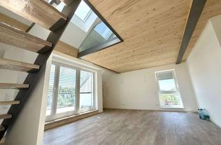 Wohnung mieten in 35396 Gießen, Erstbezug ! Außergewöhnliche Galerie- Wohnung mit Dachterrasse und Panoramablick