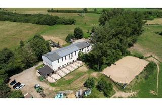 Haus kaufen in 54675 Mettendorf, Der Traum vom eigenen Pferdehof – Wohnen, Reiten und Leben auf rund 7 ha in idyllischer Alleinlage