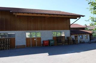 Gewerbeimmobilie mieten in Pinswang, 83115 Neubeuern, Großzügiges Gebäude für gewerbliche oder private Nutzung