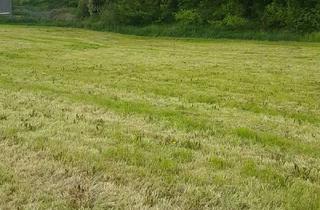 Grundstück zu kaufen in Ederstraße na, 34549 Edertal, Traumgrundstück – 4.710 m² in Hemfurth Edersee, direkt vom Eigentümer - provisionsfrei