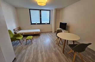 Wohnung mieten in Friedrichshaller Straße 12, 74177 Bad Friedrichshall, Neuwertige moderne möbl. 1-Zi Whg mit TG in Bad Friedrichshall
