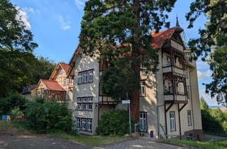 Wohnung mieten in Waldhöhenstraße 15, 38871 Ilsenburg, großzügige Einraumwohnung mit Einbauküche