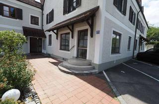 Wohnung mieten in 85777 Fahrenzhausen, Außergewöhnliche 2-Zimmer-Wohnung mit neuer Terrasse in Fahrenzhausen – ideal für Paare oder 2er-WG