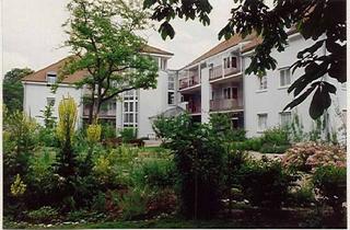 Wohnung mieten in Henlestr. 2b, 97074 Frauenland, 1-Zimmer Wohnung - gut geschnitten