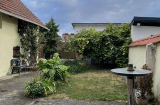 Wohnung mieten in Kirchstraße 14, 76698 Ubstadt-Weiher, Modernisierte 3-Zimmer-Wohnung in Ubstadt-Weiher