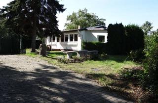 Haus kaufen in Attendorf 15, 02906 Waldhufen, Ein Ferienhaus am Feldrand mit tollem Blick