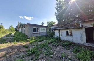 Haus kaufen in 06846 Ziebigk, Bungalow mit 165 qm Wfl.+Garage in Dessau-Ziebigk – Nähe Elbe & Kornhaus 4881 qm San.bedarf