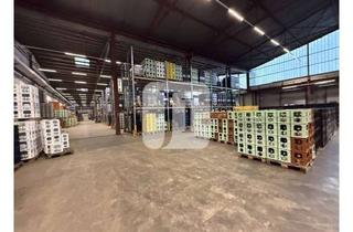 Büro zu mieten in 22113 Billstedt, ab ca. 2.771 m² - ca. 5.701 m² Lager-/Logistikflächen mit integrierten Büroflächen