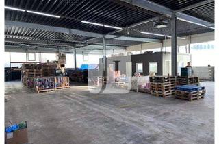 Gewerbeimmobilie mieten in 22869 Schenefeld, -IDEAL FÜR GROßHÄNDLER- ca. 965 m² renovierte ebenerdige Lagerfläche