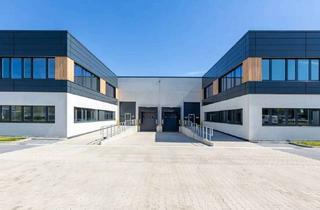 Büro zu mieten in 40589 Holthausen, Halle mit repräsentativem Büro - Höhe 6,50 m - Rampe und ebenerdiges Tor