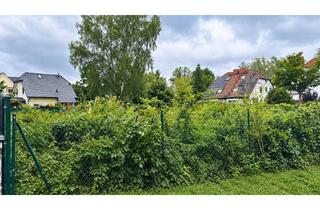 Grundstück zu kaufen in Schönbaumer Weg, 13503 Heiligensee, Heiligensee - fußläufig zum See