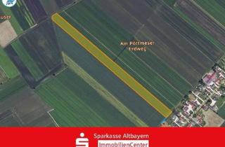 Gewerbeimmobilie kaufen in 86669 Königsmoos, Bieterverfahren über eine landwirtschaftliche Fläche