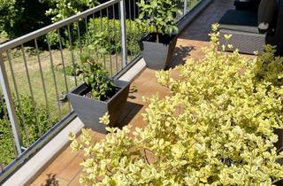 Wohnung kaufen in Hergenröderstraße 15, 63069 Lauterborn, Provisionsfrei: Helle 4-Zi.-Wohnung in OF-Buchrain mit traumhaften Sonnenbalkon