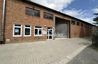 Büro zu mieten in 34414 Warburg, Halle als Lager / Werkstatt rd 600 qm mit Büro und Sozialraum / WC beheizbar