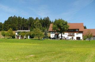Wohnung mieten in Edensbach 73, 88289 Waldburg, Alltagstaugliche 5-Zimmer-Wohnung mit Balkon in Waldburg