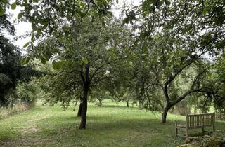 Wohnung mieten in 66780 Rehlingen-Siersburg, Naturnah und ruhig wohnen – 3 Zi. Whg. mit 84m2 und großem Garten an der schönen Nied