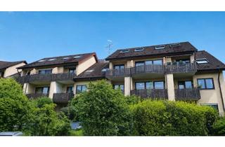 Wohnung mieten in Högestrasse 59, 79108 Hochdorf, Frisch modernisierte, möblierte 1-Zimmer Dachgeschosswohnung mit großem Balkon und Stellplatz