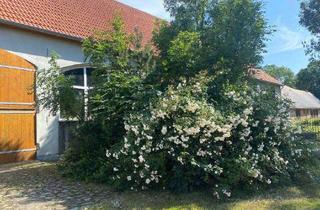 Haus kaufen in 17390 Groß Polzin, Provisionsfrei* Scheune mit Wohnteil