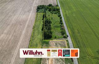 Grundstück zu kaufen in 04288 Holzhausen, Bauträgerfrei | Grundstücksgröße noch variabel | Feldlage
