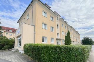 Wohnung kaufen in 01237 Dresden, Bezugsfreie 2-Zi.-Wohnung mit Balkon und Tageslichtbad in DD-Seidnitz