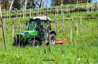 Gewerbeimmobilie kaufen in 56812 Valwig, Weinkeller in direkter Lage zur Mosel