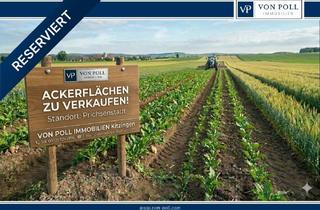 landwirtschaftliche Fläche kaufen in 97357 Prichsenstadt, Agrarfläche in Top-Lage: 10.000 m² Ackerland bei Prichsenstadt
