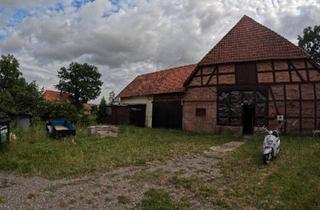 Bauernhaus kaufen in 31234 Edemissen, Edemissen - Zentrale Lage: Denkmal-Bauernhaus + Baugrundstück auf 1.800 m²