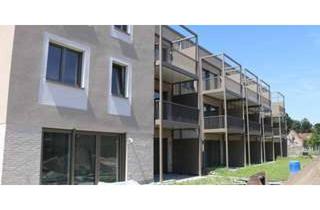 Wohnung mieten in Norfolkweg, 48167 Gremmendorf, Erstbezug: Helles 1-Zi-Apartment mit Garten in Münster-Gremmendorf
