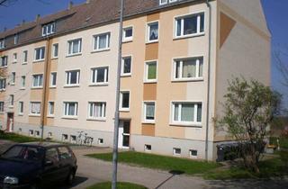 Wohnung mieten in Apfelweg, 04668 Thümmlitz, 2- Raum- DG-Wohnung in Dürrweitzschen bei Grimma