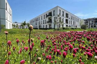 Wohnung mieten in 93049 Westenviertel, Nähe Altstadt - Moderne 1,5-Zimmer-Wohnung mit Terrasse im EG