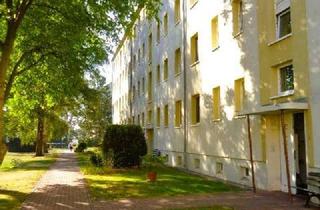 Wohnung mieten in Poststraße, 06242 Braunsbedra, Ihr neues Zuhause: Stilvolle 3-Zimmer-Wohnung mit Wohlfühlcharakter