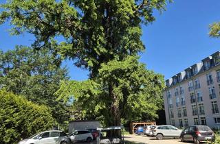 Wohnung mieten in Bernhardstr 23, 99510 Apolda, 3Raum Wohnung in Apolda am Paulinenpark