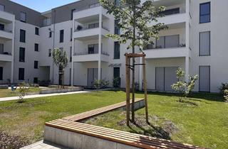 Wohnung mieten in Obere Langgasse 2a, 67346 Speyer, Exklusive 90 qm-Wohnung im Zentrum von Speyer (Baujahr 2024)