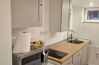 Wohnung mieten in 65366 Geisenheim, Für Pendelnde: Kompaktes Apartment in Geisenheim: Ein-Zimmer-Wohnung mit Einbauküche