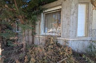 Doppelhaushälfte kaufen in Am Deich, 39596 Altenzaun, Doppelhaushälfte mit Schuppen in Altenzaun; 1.097 m²; Mindestgebot 11.000 €; Einzelheiten s. Exposee