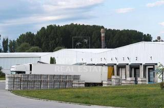 Gewerbeimmobilie mieten in 70794 Filderstadt, Logistikhalle mit Rampen in Flughafennähe
