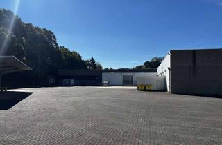 Gewerbeimmobilie mieten in Schützenstraße 74, 57271 Hilchenbach, Produktions- & Lagerhalle mit 3.000qm Mietfläche (3.000qm + 1.200qm) AB SOFORT VERFÜGBAR
