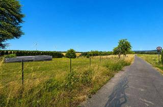 Grundstück zu kaufen in 54533 Niederöfflingen, Niederöfflingen | Baugrundstücke | Ortsrand | Naturnah