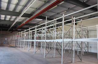 Gewerbeimmobilie mieten in 21435 Stelle, PROVISIONSFREI!! Halle mit Regalsystem