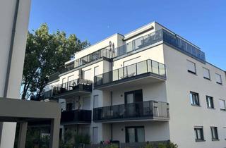 Penthouse mieten in Am Damm, 55232 Alzey, Neuwertige exklusive altersgerechte Penthousewohnung mit Dachterrasse