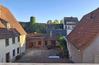 Wohnung mieten in 97084 Heidingsfeld, Möblierte 1-Zimmer-Dachgeschosswohnung mit großer Dachterrasse, Klimaanlage und Stellplatz