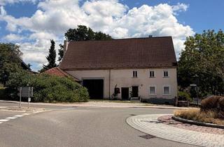 Bauernhaus kaufen in 78669 Wellendingen, Bauernhaus mit großer Scheune und vielseitigem Potenzial in Wellendingen - 227-26