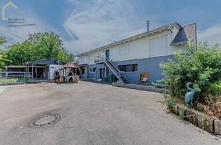 Haus kaufen in 77974 Meißenheim, Ländliche Idylle trifft modernen Wohnkomfort – Zweifamilienhaus mit Pferdehaltung