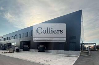 Gewerbeimmobilie mieten in 22113 Billbrook, Moderne Produktions- und Logistikimmobilie